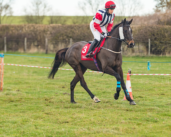 Race 4 - The Ladies Open (28 of 89)