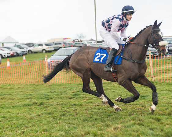 Race 5 - The PPORA Club Members Conditions Ladies Open (13 of 79)