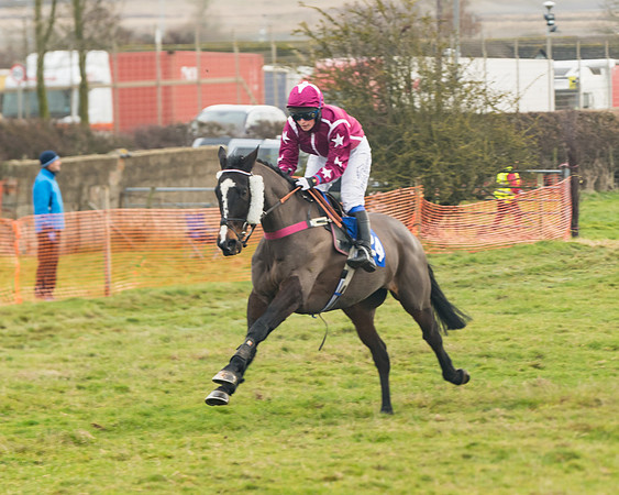 Race 5 - The PPORA Club Members Conditions Ladies Open (43 of 79)