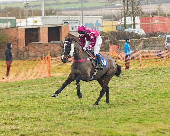 Race 5 - The PPORA Club Members Conditions Ladies Open (44 of 79)