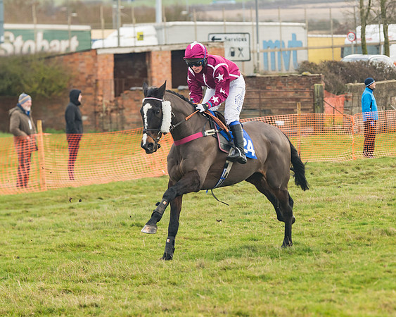 Race 5 - The PPORA Club Members Conditions Ladies Open (45 of 79)