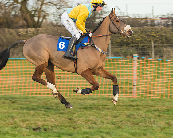 Race 6- The Intermediate Race (29 of 96)