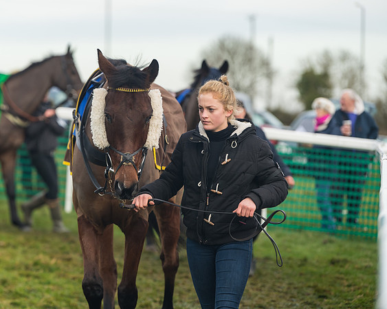 Race 6- The Restricted Race (10 of 151)