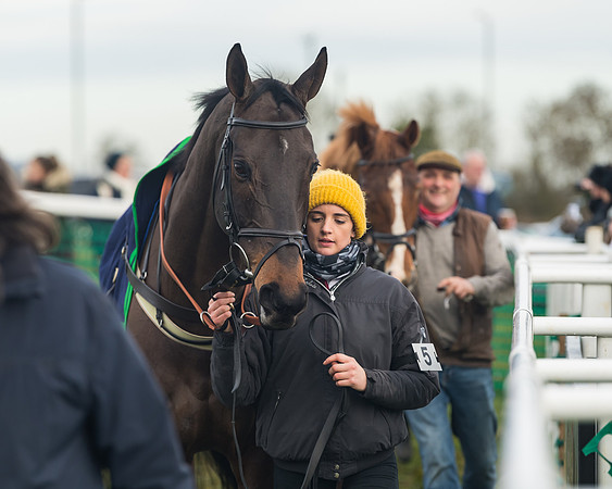 Race 6- The Restricted Race (13 of 151)