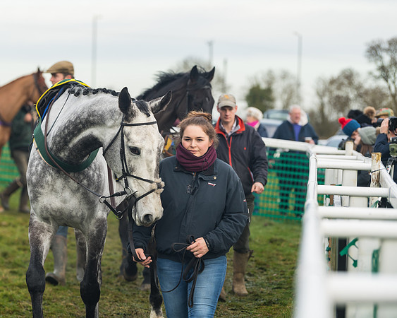Race 6- The Restricted Race (22 of 151)