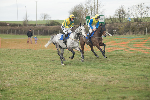 Race 6- The Restricted Race (32 of 151)