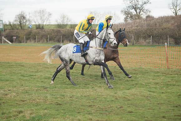 Race 6- The Restricted Race (33 of 151)