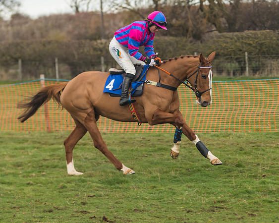 Race 6- The Restricted Race (35 of 151)