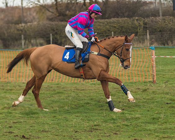 Race 6- The Restricted Race (36 of 151)