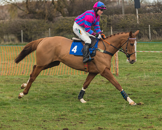 Race 6- The Restricted Race (37 of 151)