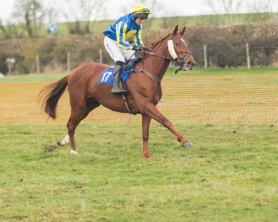 Race 6- The Restricted Race (40 of 151)
