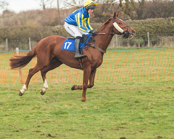 Race 6- The Restricted Race (41 of 151)