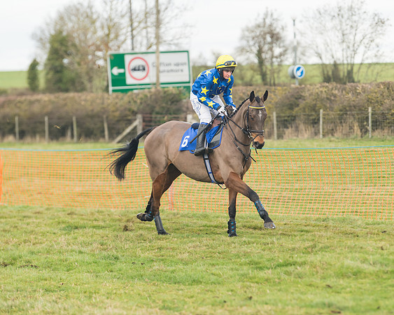 Race 6- The Restricted Race (42 of 151)