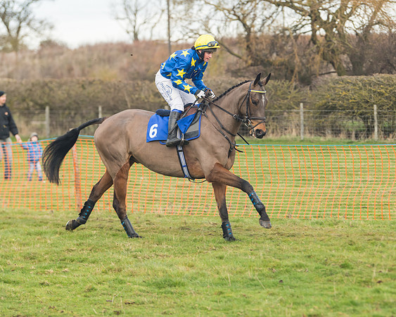 Race 6- The Restricted Race (43 of 151)