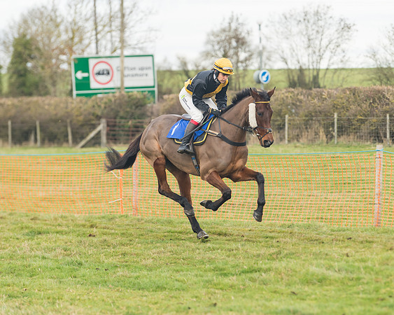 Race 6- The Restricted Race (44 of 151)