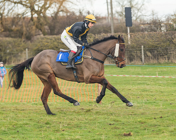 Race 6- The Restricted Race (45 of 151)