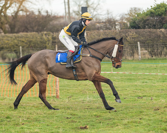 Race 6- The Restricted Race (46 of 151)