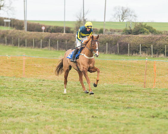 Race 6- The Restricted Race (47 of 151)