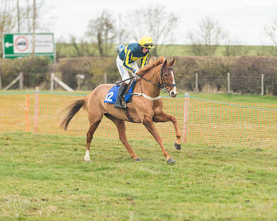 Race 6- The Restricted Race (48 of 151)