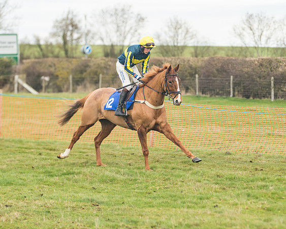 Race 6- The Restricted Race (49 of 151)