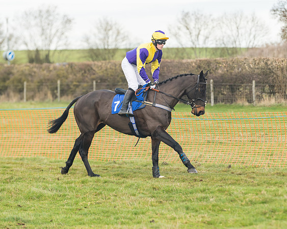 Race 6- The Restricted Race (50 of 151)