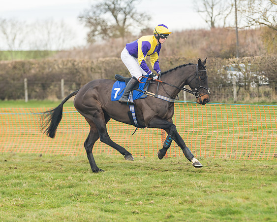 Race 6- The Restricted Race (51 of 151)