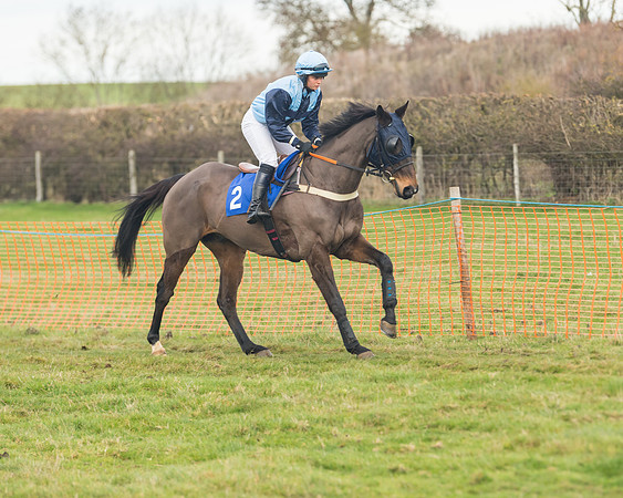 Race 6- The Restricted Race (52 of 151)