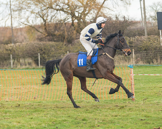 Race 6- The Restricted Race (55 of 151)