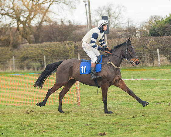 Race 6- The Restricted Race (56 of 151)