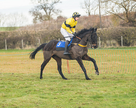 Race 6- The Restricted Race (57 of 151)