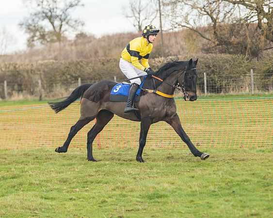 Race 6- The Restricted Race (58 of 151)