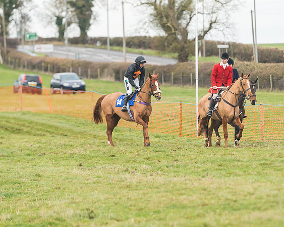 Race 6- The Restricted Race (59 of 151)
