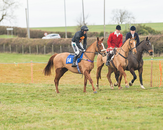 Race 6- The Restricted Race (60 of 151)