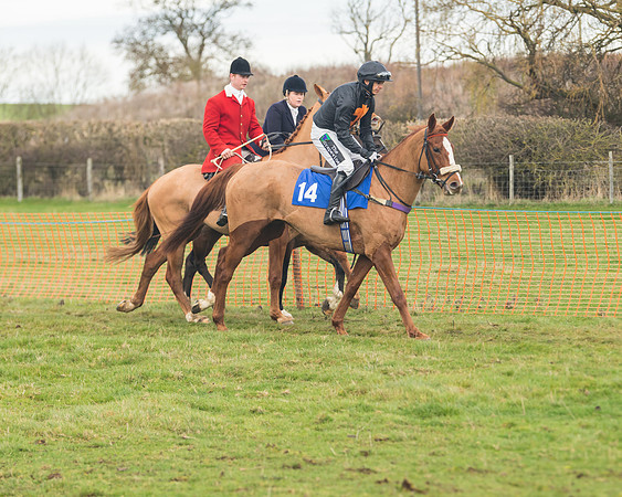 Race 6- The Restricted Race (61 of 151)
