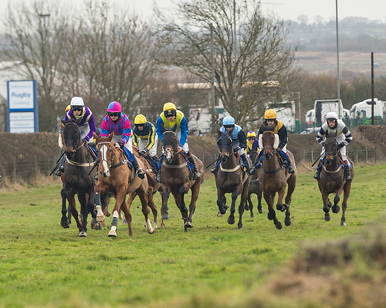 Race 6- The Restricted Race (66 of 151)