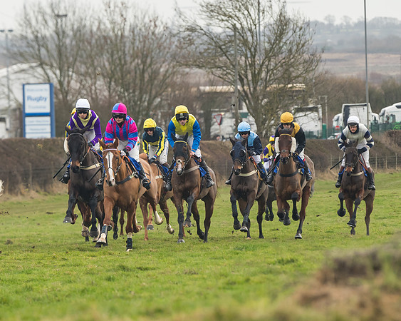 Race 6- The Restricted Race (67 of 151)