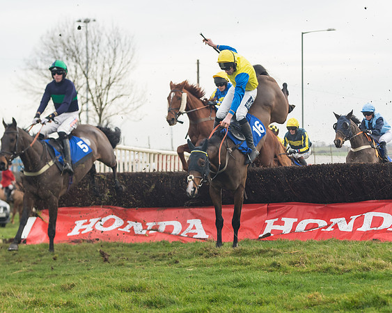 Race 6- The Restricted Race (78 of 151)