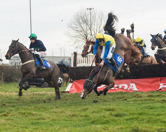 Race 6- The Restricted Race (81 of 151)