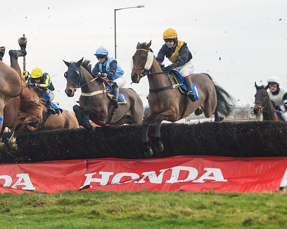 Race 6- The Restricted Race (81 of 151)-2