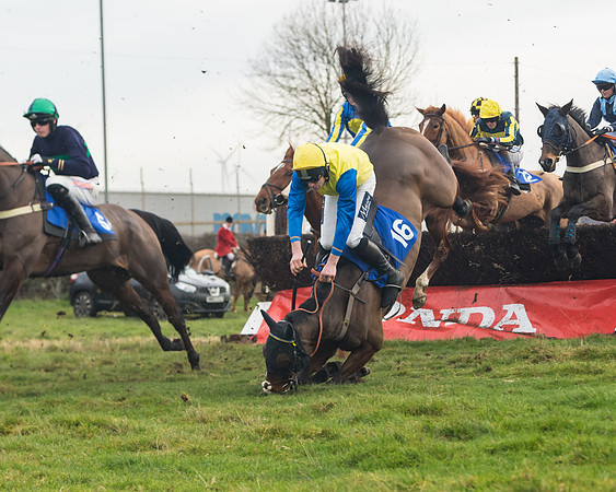 Race 6- The Restricted Race (82 of 151)