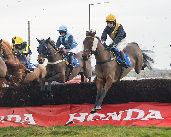 Race 6- The Restricted Race (82 of 151)-2