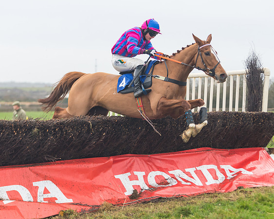 Race 6- The Restricted Race (123 of 151)