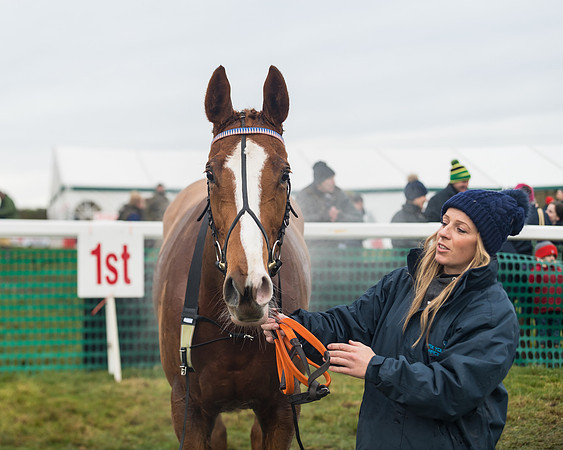 Race 6- The Restricted Race (142 of 151)