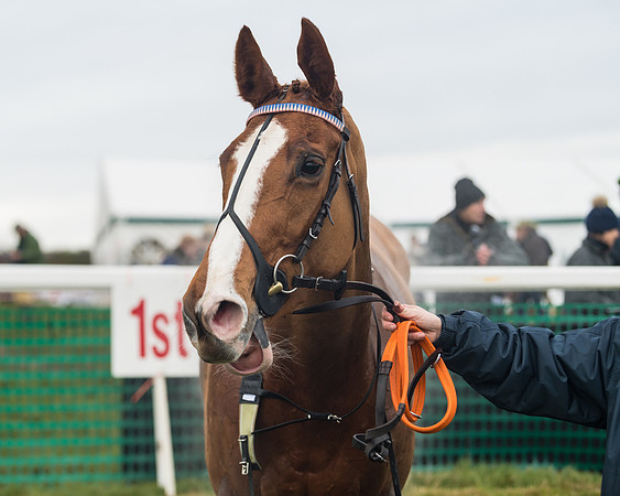 Race 6- The Restricted Race (143 of 151)
