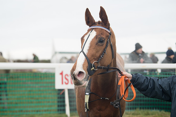 Race 6- The Restricted Race (144 of 151)
