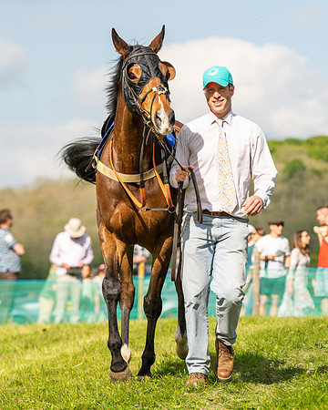 Race 6 - Maiden [2m4f] (10 of 135)
