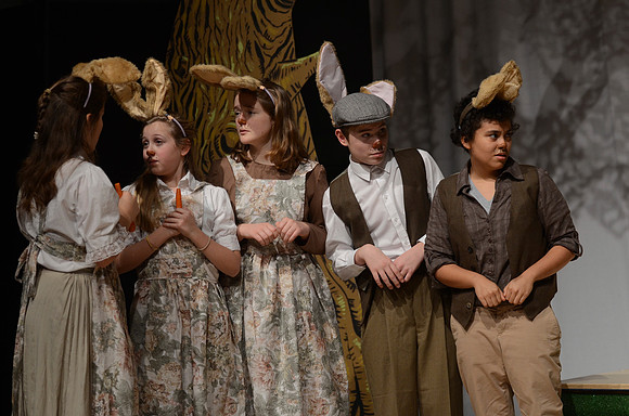 Wind in the Willows Dress 5