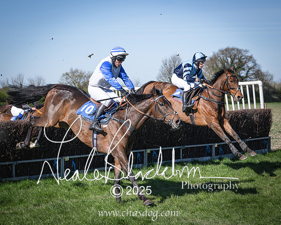 Race 6 - Veteran horse (79 of 109)