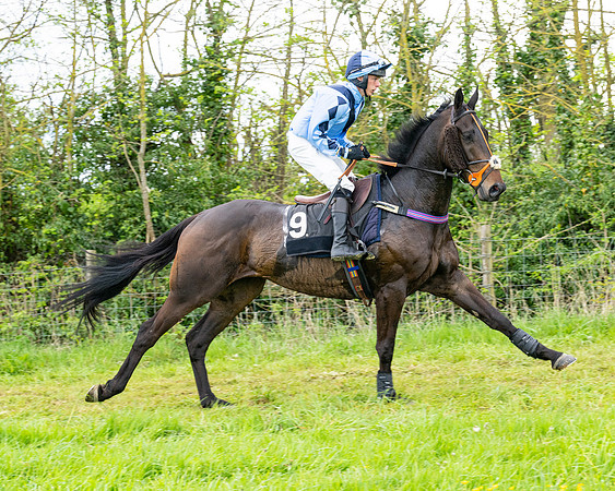 Race 2 - 2M4F Conditions (53 of 195)