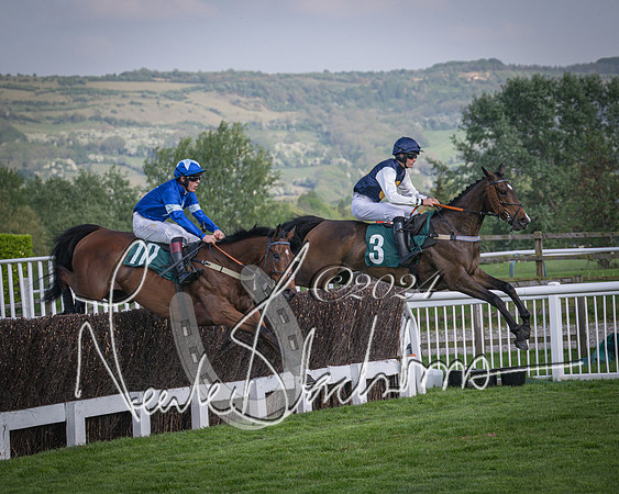 Race 2 - The Venatour sports travel intermediate point to point hunters’ steeplechase 5 year olds and over 3m2f (37 of 163)